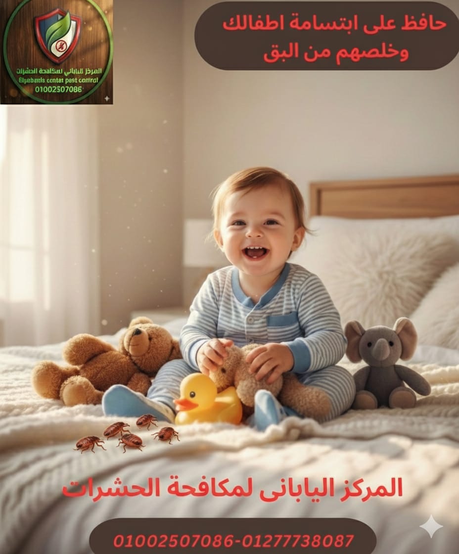 مكافحة البق