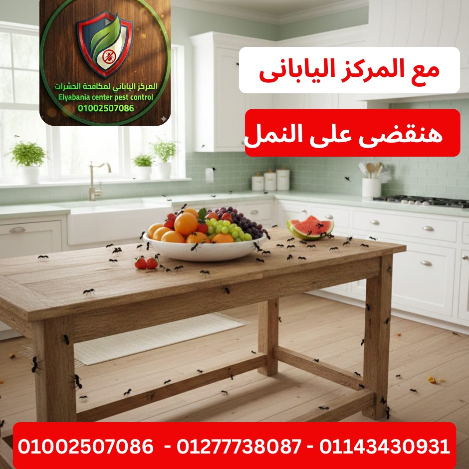 مكافحة النمل