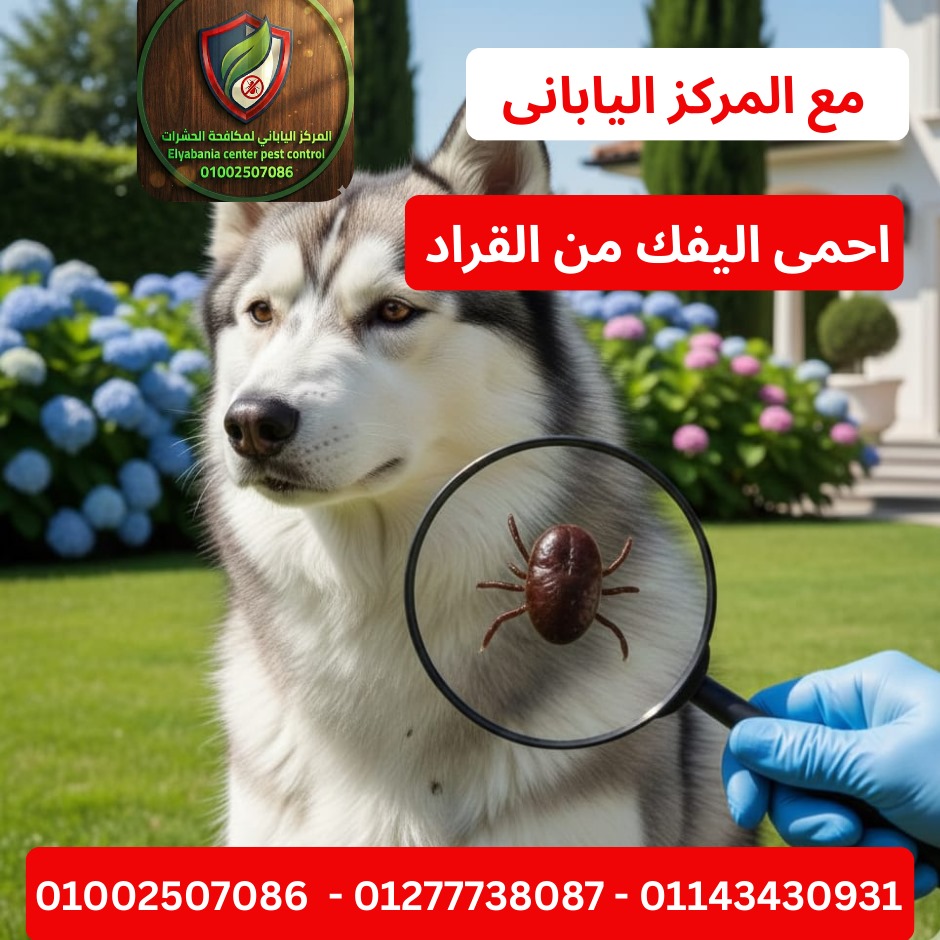 مكافحة القراد