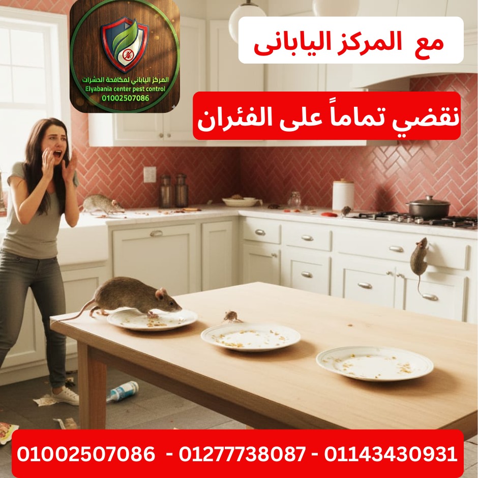 مكافحة الفئران